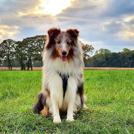 Wreecher Idyll 10 Mit Balkon Und Panoramablick *
